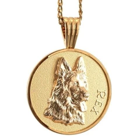 Goldene Halskette mit rundem Anhänger, 3D-Hundeporträt und Gravur Rex