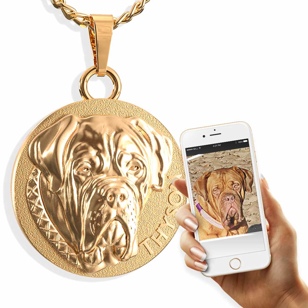 Goldene Halskette mit rundem Anhänger, 3D-Porträt eines Hundes und Gravur Tyson, daneben ein Smartphone mit dem Referenzfoto