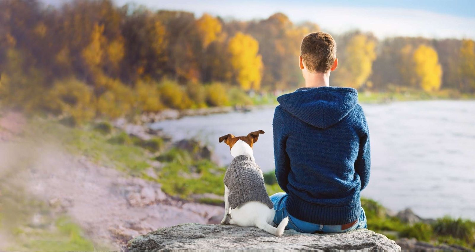 dog-lake-2