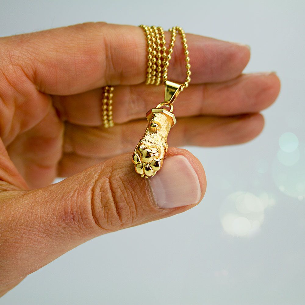 Hand hält eine goldene Halskette mit einem Anhänger in Form einer Pfote aus Metall, vor hellem Hintergrund