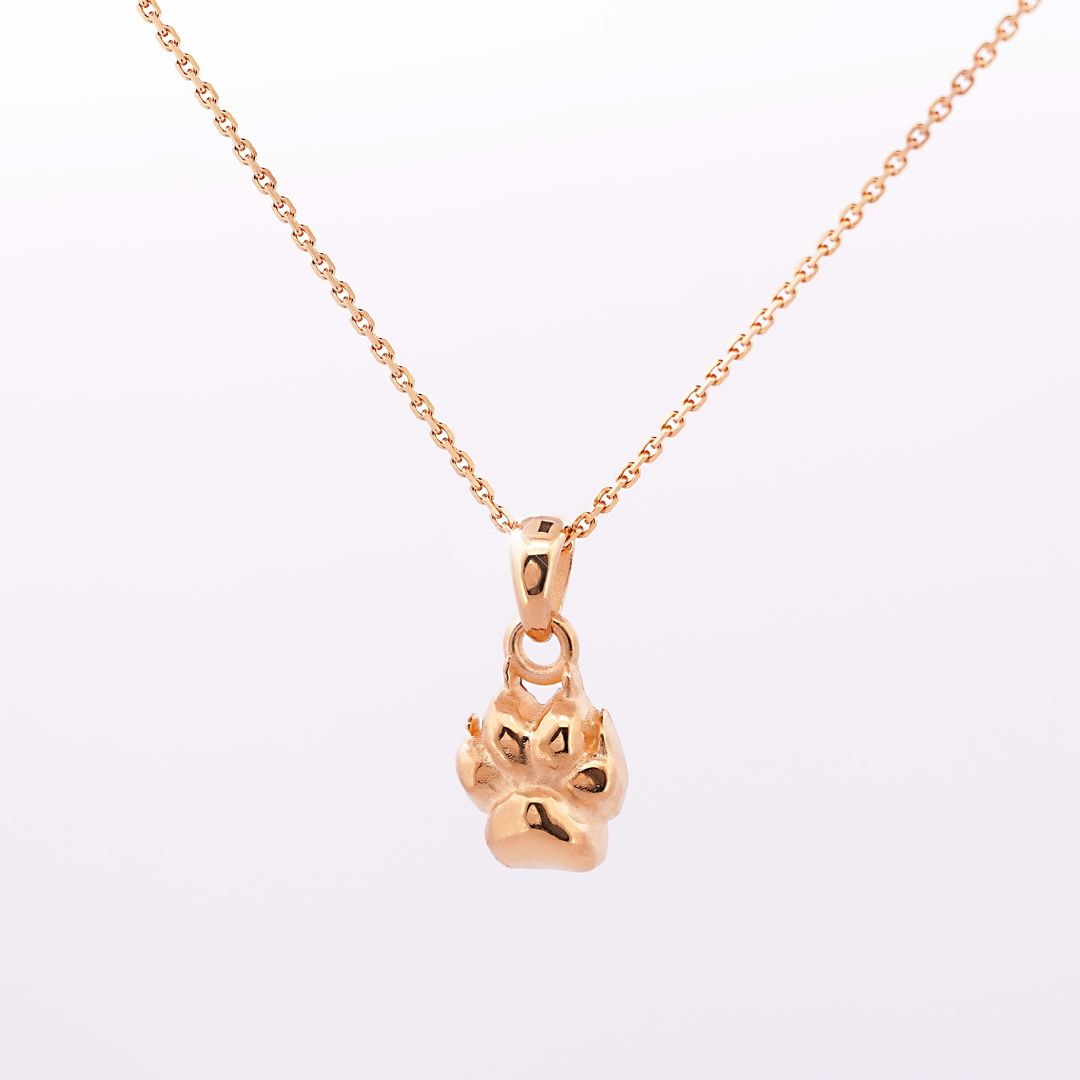 Goldene Halskette mit glänzendem Anhänger in Form einer Pfote, vor hellem Hintergrund